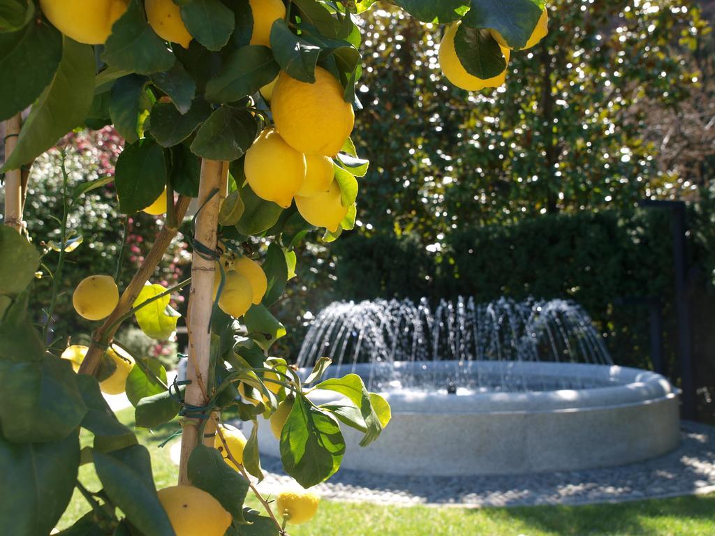 Park Hotel Villa Belvedere Cannobio Zewnętrze zdjęcie