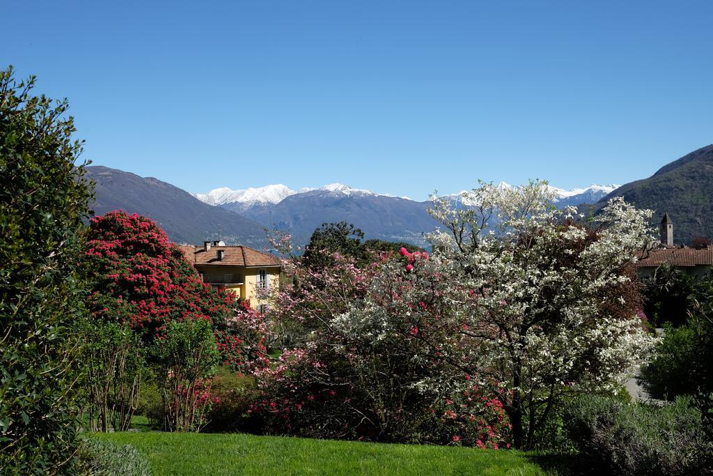 Park Hotel Villa Belvedere Cannobio Zewnętrze zdjęcie