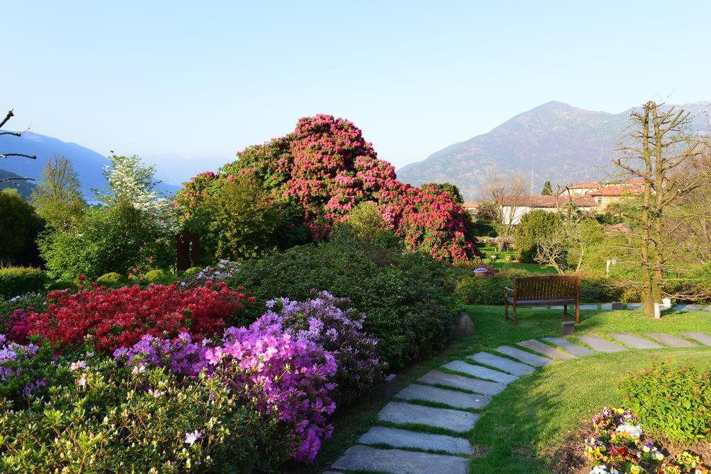 Park Hotel Villa Belvedere Cannobio Zewnętrze zdjęcie