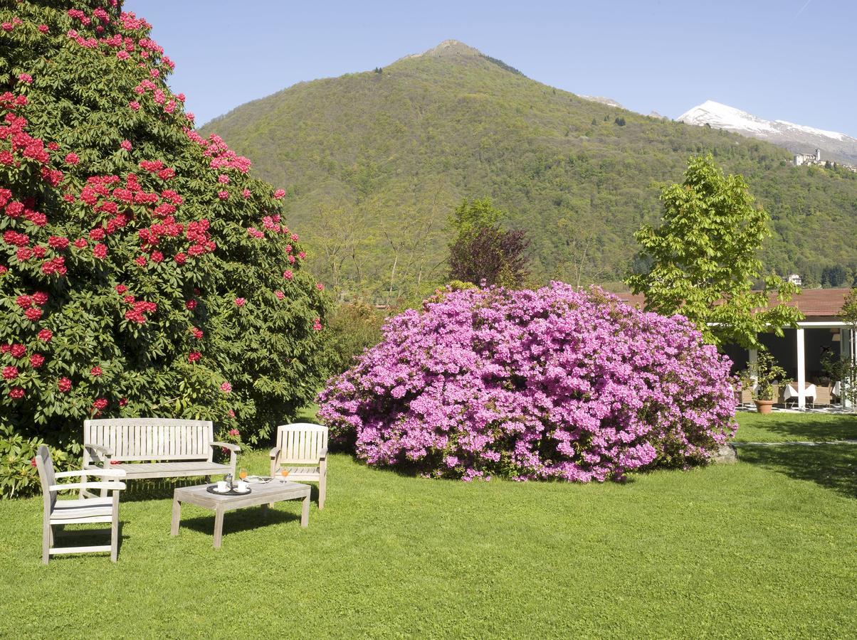 Park Hotel Villa Belvedere Cannobio Zewnętrze zdjęcie